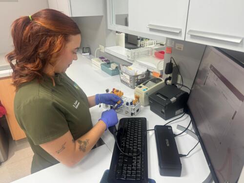 • Pruebas de COVID-19 Molecular
• Prueba de Antígeno
• Rapid Test con resultados el mismo día
• En el Laboratorio Clínico Plaza Palacios, tu salud siempre es primero.
• Nosotros e