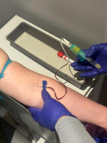 • Pruebas de COVID-19 Molecular
• Prueba de Antígeno
• Rapid Test con resultados el mismo día
• En el Laboratorio Clínico Plaza Palacios, tu salud siempre es primero.
• Nosotros e
