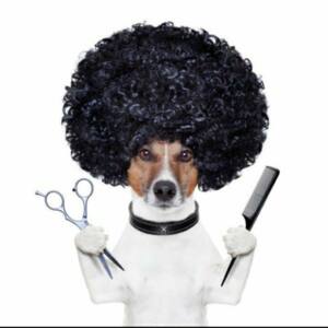 Art Dog Grooming