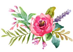 Floristeria El Tulipan