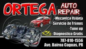Ortega Auto Repair