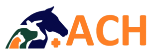 Animal Care Hospital