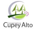 Cooperativa de Ahorro y Crédito Cupey Bajo
