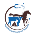 Hospital Veterinario del Suroeste