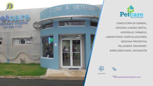 petcare san sebastian